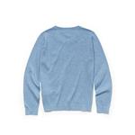 Lacoste Boys' Crew Neck Cotton Jersey Sweater