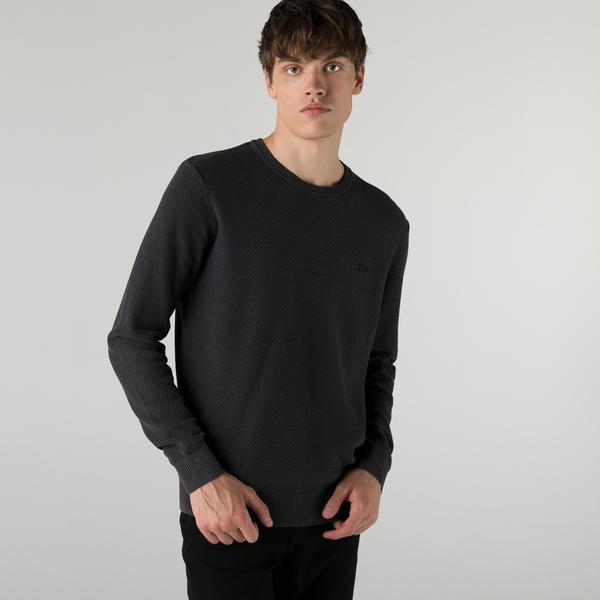 Lacoste Men's sweater
